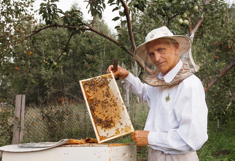 Beekeeper Smiling