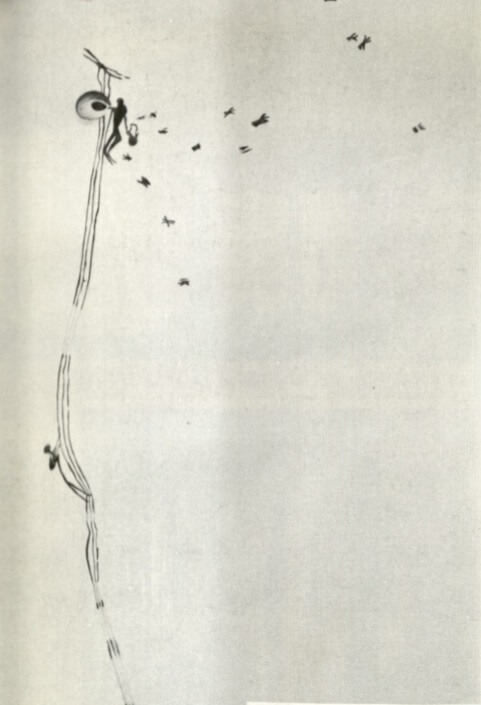 Early Honey Hunsters climbing ladders to reach nests