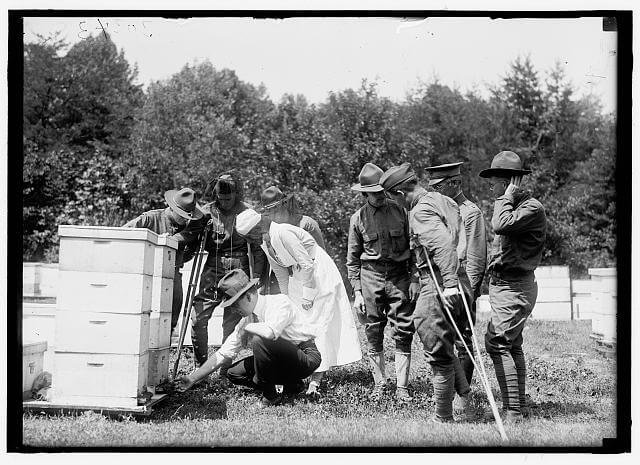Beekeeping programs coming to aid for the injured veterans returning from world war 1