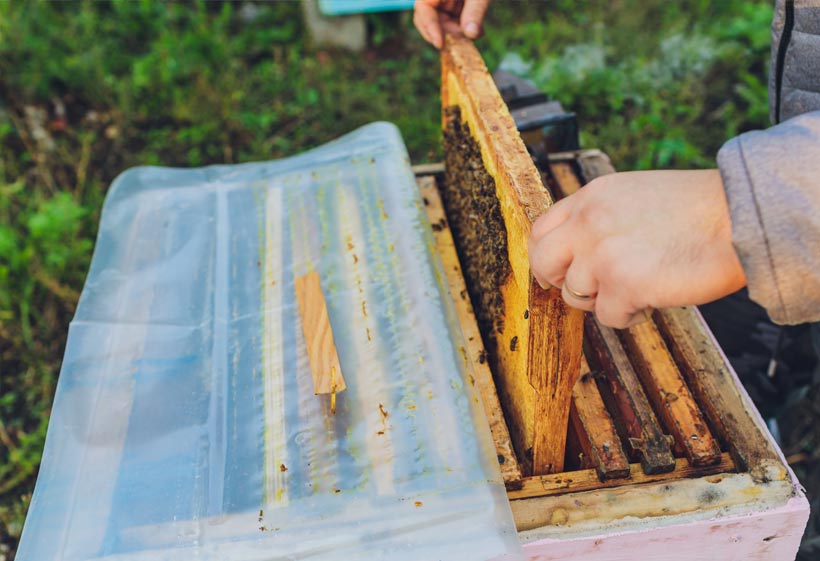 Removing bee super frames